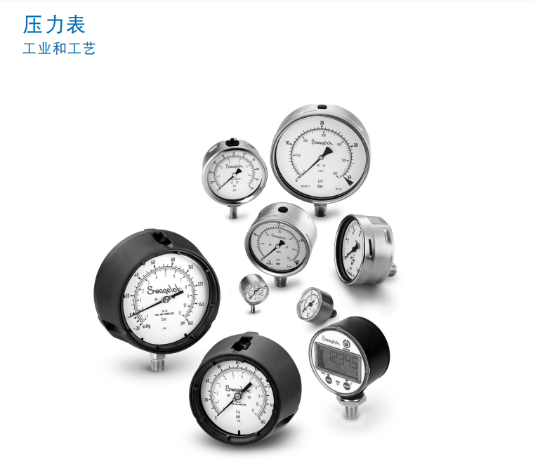 世偉洛克工藝壓力表